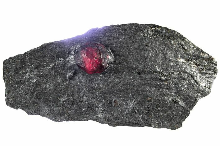 Red Embers Garnet in Graphite - Massachusetts #313543